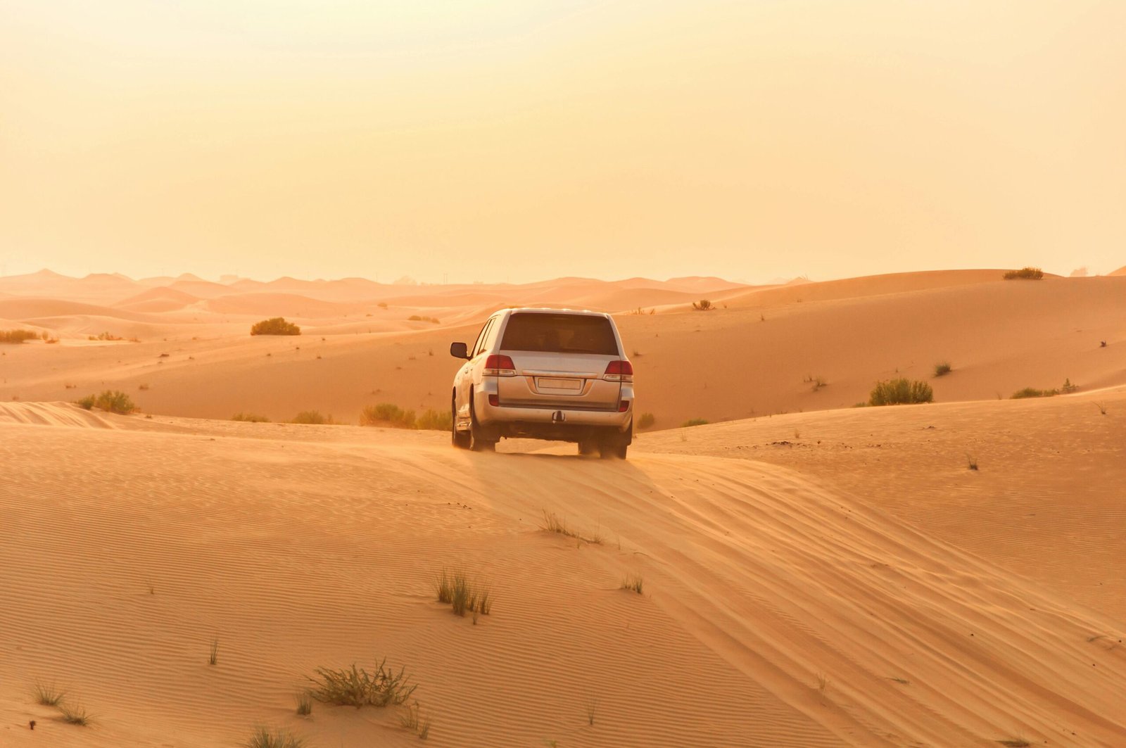 land cruiser in desert